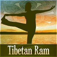 Celebration Health - Yoga Meditation Music Set