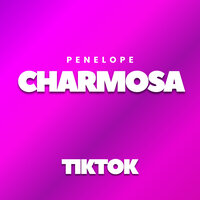 Penelope Charmosa X Tiktok - DJ Psico de Caxias & DJ DN DE CAXIAS & Mc Monik do pix