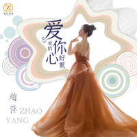 爱你爱的心好累 - 赵洋
