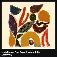 On the Fly - Paul Grant & daniel hayn & Jonny Tobin