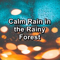 Summer Rain in the Rainy Forest To Help You Take A Nap - Rain Sounds & Rain for Deep Sleep & Rain
