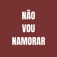 Não Vou Namorar - Dj Samuca Beat & Dj Alanzin & MC Lindão