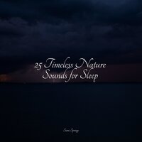 Rainy Summer - Spa & Spa & Deep Sleep Systems & Relaxing Mindfulness Meditation Relaxation Maestro