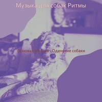 Мечты (Тихие щенки) - Музыка для собак Ритмы