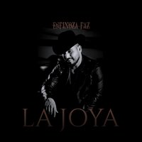 Tomando Ando - Espinoza Paz