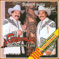 Luz De Mi Alborada - Cardenales de Nuevo Leon