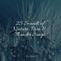 Quiet Bird Song - Massage Tribe & Regen zum Schlafen & Winds and Oceans