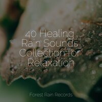 Soft Rains on the Window - Rising Higher Meditation & Sounds of Nature for Deep Sleep and Relaxation & Relaxation