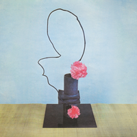 Shadowboxing - Methyl Ethel