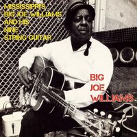 Don't Leave Me Here - Big Joe Williams