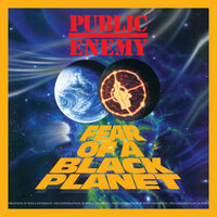 Flavor Flav - Public Enemy