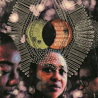 Shiny Divider - Nicole Mitchell