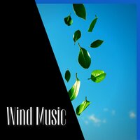 Wind Music, Meditation (Inspirational Music) - ASMR Wind Channel & Wind Noise & Sleep & Wind White Noise Channel
