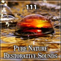 Incredibly Relaxing Music - Serenity Music Relaxation