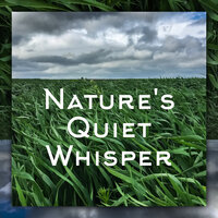 Yearning for the Wind - Nature Sounds Relaxation: Music for Sleep, Meditation, Massage Therapy, Spa