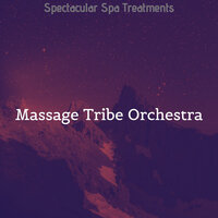 Friendly - Feeling - Massage Tribe Orchestra