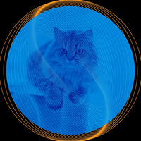 Alluring Ambience for Friendly Cats - Cat Total Relax