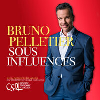 Le chat du café des artistes - Bruno Pelletier