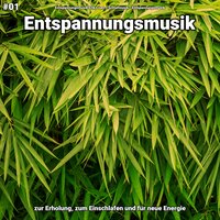 Entspannungsmusik pt. 33 - Entspannungsmusik Erik Lisen & Schlafmusik & Entspannungsmusik