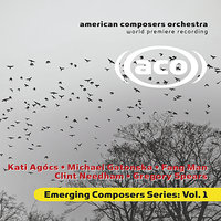 Chamber Symphony: I. - Jeffrey Milarsky & American Composers Orchestra