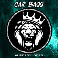 Not In The Mood - Car Bass
