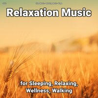 Relaxation Music Pt. 63 - Slow Music & Relaxing music & Yoga