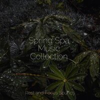 Sounds of Clarity - Academia de Meditação Buddha & Sleep Sound Library & Avslappning Sound