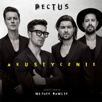 Jeden Moment - Pectus