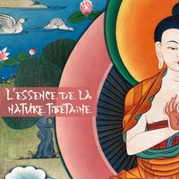 Fréquences de guérison - Zone de la Musique Relaxante