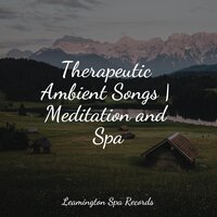 Ultimate Relaxation - Zona Música Relaxante & Restless Baby Music & Relaxation Sleep Meditation
