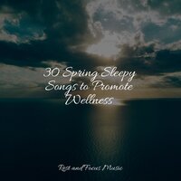 Misty River - Avslappning Sound & Meditative Music Guru & White Noise Sleep Sounds