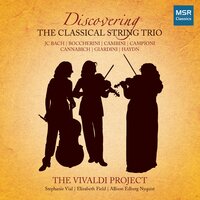 Trio in D Major, Op. 2, No. 4: I. Adagio - The Vivaldi Project & Луиджи Родольфо Боккерини