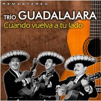 Cuando vuelva a tu lado - Trío Guadalajara