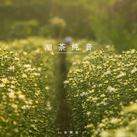 盎然轻乐 - 张颜烁