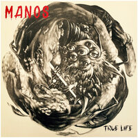 Internal Decay - Manos