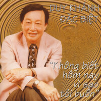 Mùa Đông Của Anh - Duy Khánh