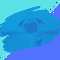 Smooth Jazz Soundtrack for Walking Dogs - Jazz for Dogs