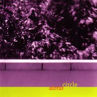 Potto - Circle