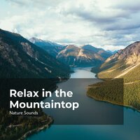 Mountain Adventure - Nature Sounds & Nature Sounds Nature Music & Sleep Sounds Of Nature