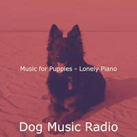 Lonely Music for Cute Dogs - Dog Music Radio