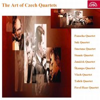 String Quartet No. 1, .: Andante moderato - Panocha Quartet