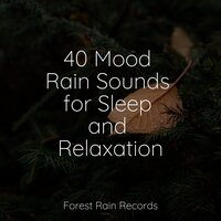 Bonfire in the Woods - Relaxing Nature Ambience & Reiki Music & Sons da Natureza