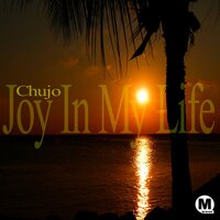 Joy In My Life - Chujo