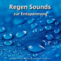 Atemübungen ohne Grenzen - Regengeräusche zum Einschlafen Lars Honn & Regengeräusche & Naturgeräusche