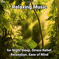 Relaxing Music Pt. 81 - Deep Sleep & Relaxing music & Yoga