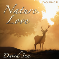 Gentle Rain - David Sun
