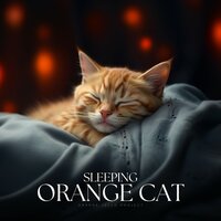 Cornfield Shades 2.0 - Cat Music