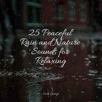 Flowing Water - Unforgettable Paradise SPA Music Academy & Relaxation Personal Guru & Música de la Naturaleza