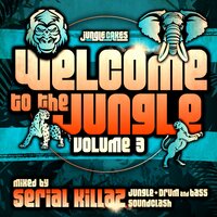 Inna Mi Draw - Nico D & turbulance & Serial Killaz