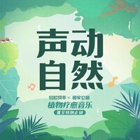 海南蕈树 - 轻松频率